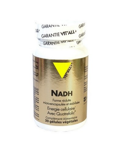 NADH - Vitall+