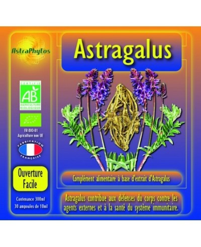 Astragalus bio résistance et immunité de l'organisme