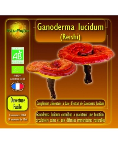 Ganoderma lucidum bio en ampoules : reishi