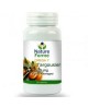 Oméga 7 Huile d’Argousier - Nature Forme - 500mg - peau