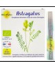 Astragalus bio en ampoules - Astraphytos