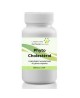 PhytoCholesterol