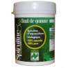Spiruline bio