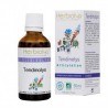 Tendinolys : Complexe de plantes bio